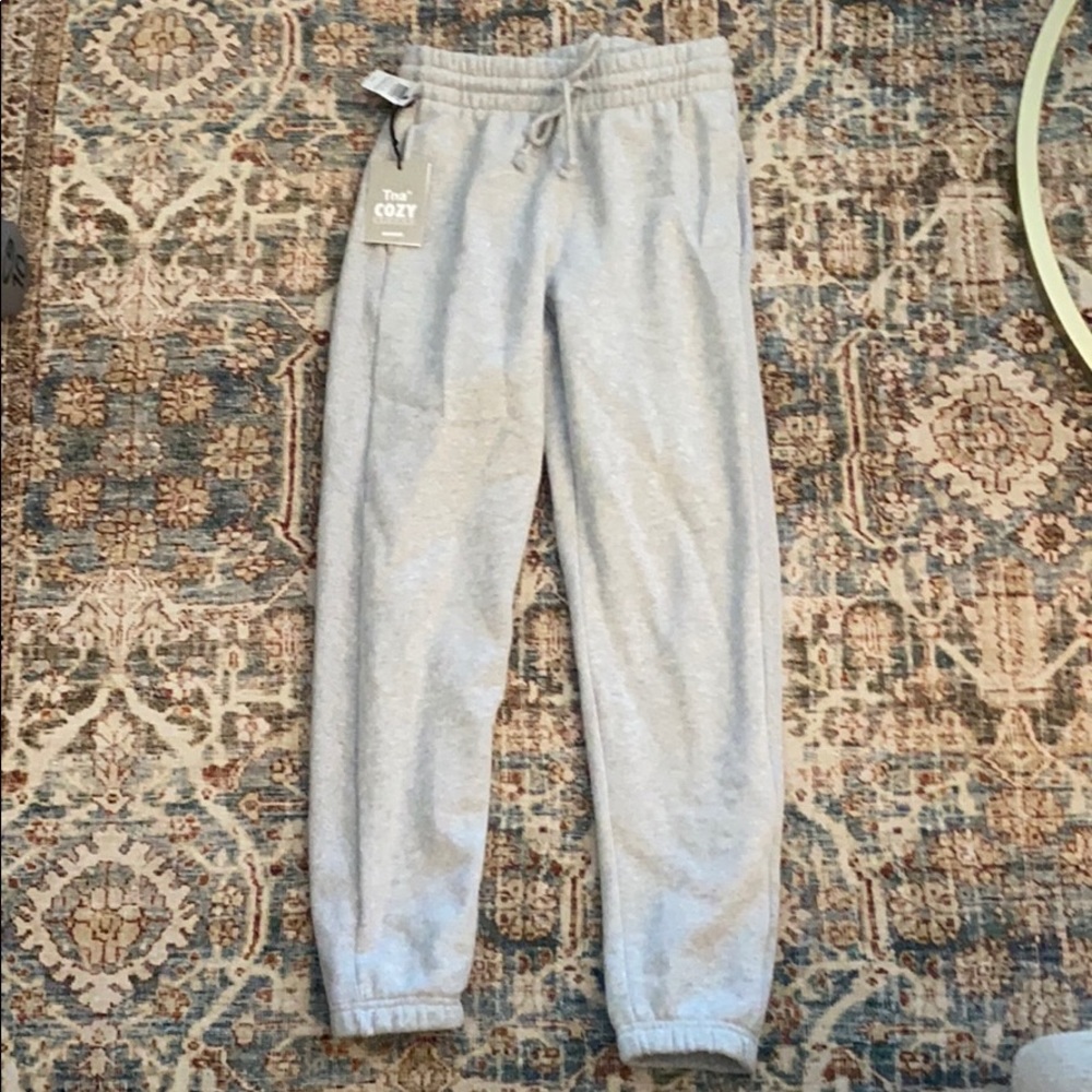 Aritzia TNA sweatpants